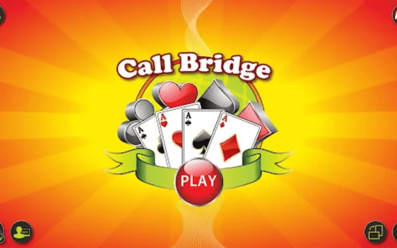 29 card game
